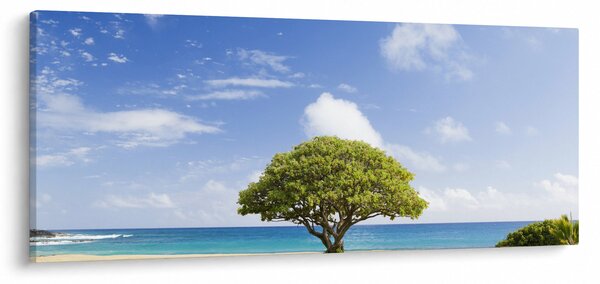 Obraz pláže so stromom (120x50 cm)