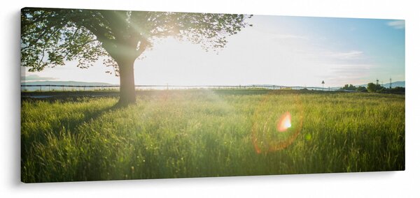 Obraz letnej lúky (120x50 cm)
