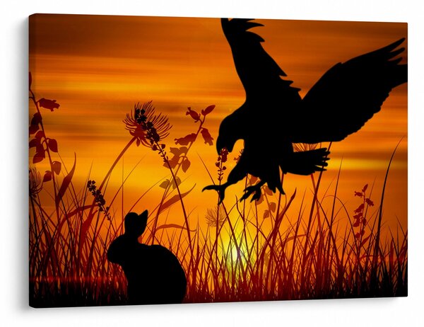 Obraz siluety dravca (70x50 cm)