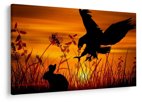 Obraz siluety dravca (90x60 cm)