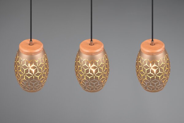 Trio TR31573065 závesné stropné svietidlo Bidar E27