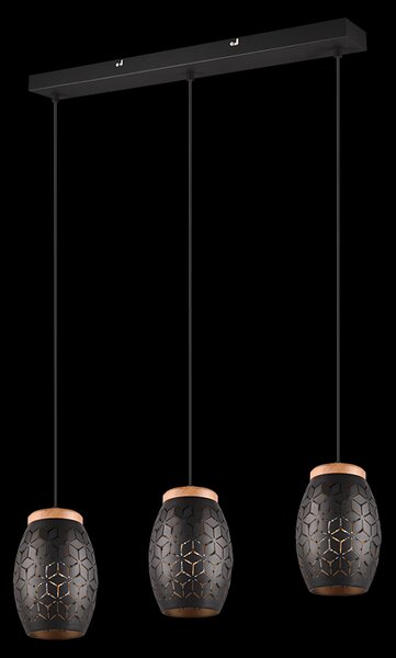 Trio TR31573080 závesné stropné svietidlo Bidar E27