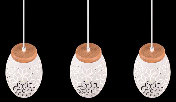 Trio TR31573031 závesné stropné svietidlo Bidar E27