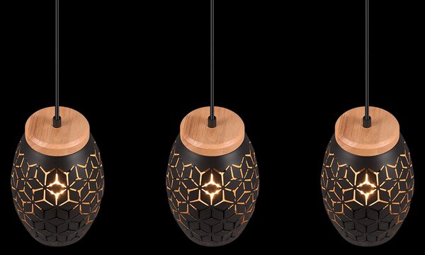 Trio TR31573080 závesné stropné svietidlo Bidar E27