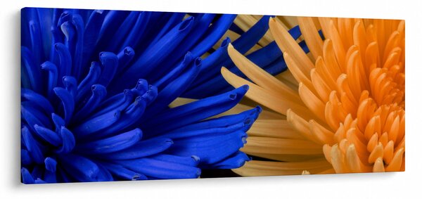 Detailný obraz kvetov (120x50 cm)