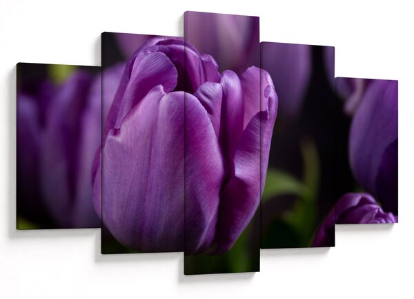 Obraz kvetov tulipánov (150x105 cm)
