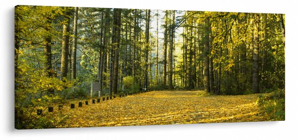 Obraz - les v jeseni (120x50 cm)