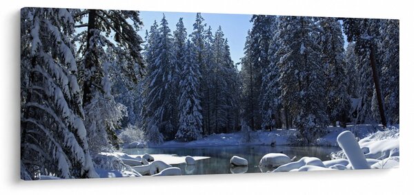 Obraz zasneženého lesa (120x50 cm)