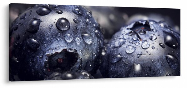 Obraz ovocia s kvapkami vody (120x50 cm)