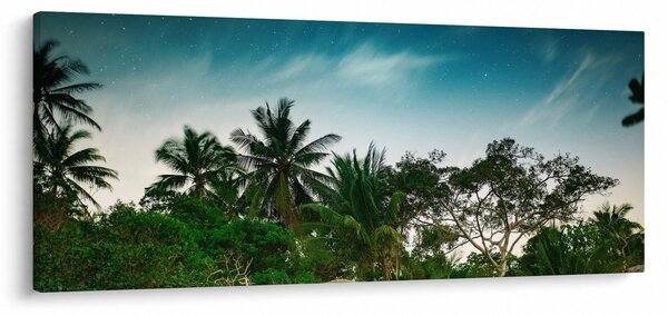Obraz - palmy (120x50 cm)
