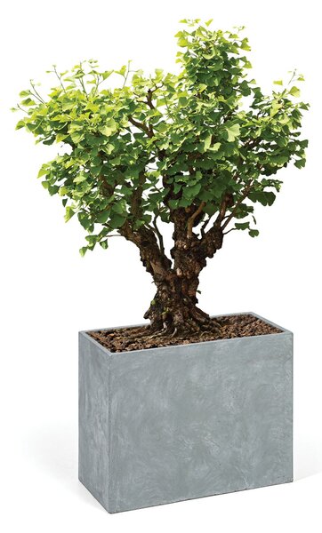 Kvetináč obdĺžny XL, 74 x 22 x 66 cm, cement, sivá
