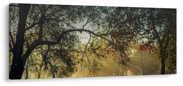 Obraz východu slnka (120x50 cm)
