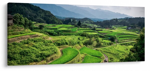 Obraz ryžových polí (120x50 cm)