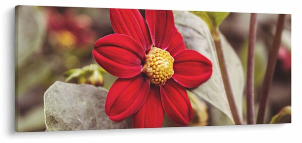 Obraz kvetiny (120x50 cm)