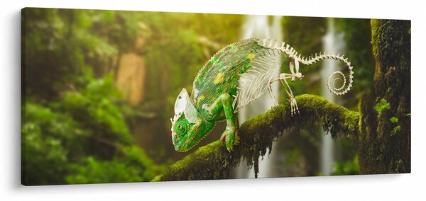 Obraz chameleóna (120x50 cm)
