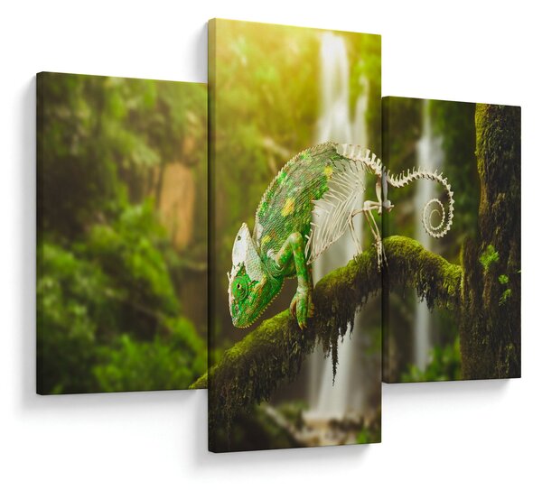 Obraz chameleóna (90x60 cm)