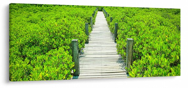 Obraz - drevený chodník (120x50 cm)