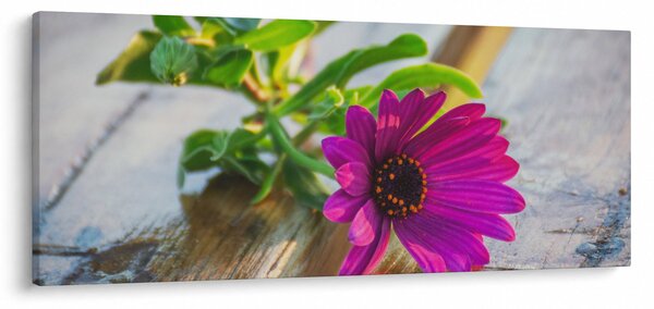 Obraz rezanej kvetiny (120x50 cm)