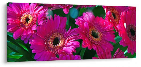 Obraz - kvety (120x50 cm)