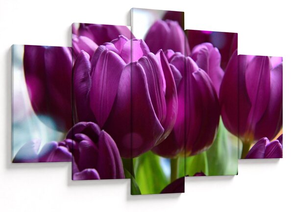 Obraz tulipánov (150x105 cm)