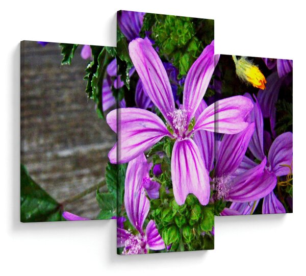 Obraz - lúčne kvety (90x60 cm)