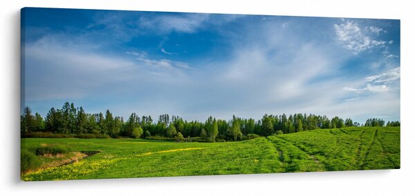 Obraz lúky (120x50 cm)