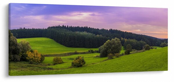 Obraz lúky (120x50 cm)
