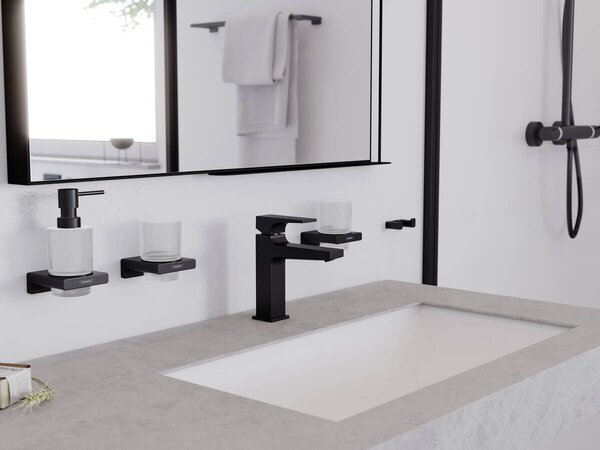 Hansgrohe AddStoris Q - Dvojitý háčik, kartáčovaný bronz 41755140