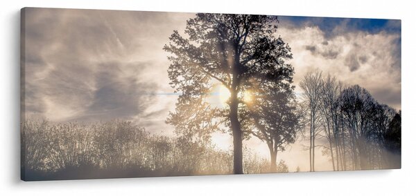 Obraz stromu v hmle (120x50 cm)