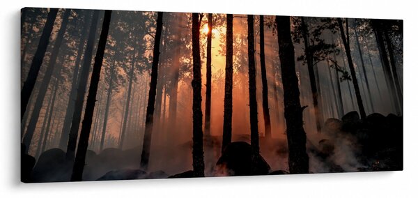 Obraz temného lesa (120x50 cm)