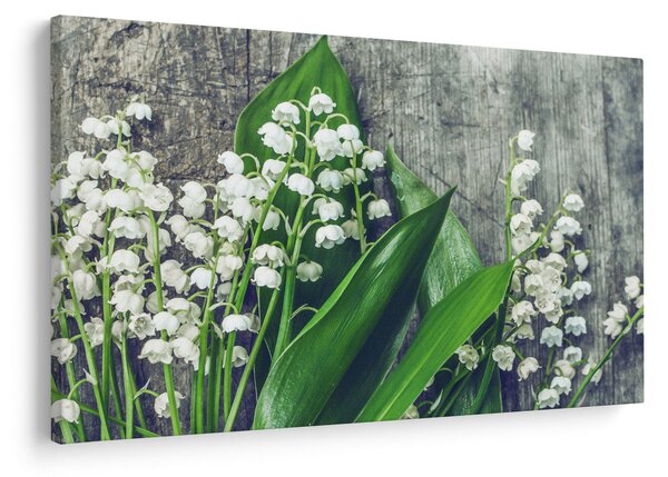 Obraz konvaliniek (90x60 cm)
