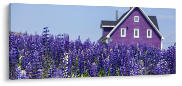 Obraz levanduľového poľa (120x50 cm)