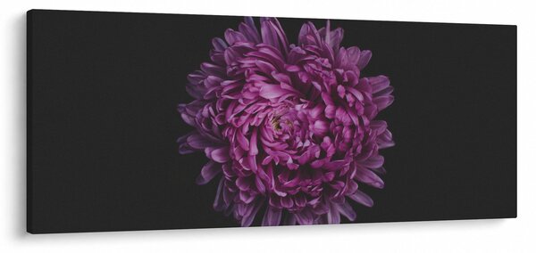Obraz fialovej kvetiny (120x50 cm)