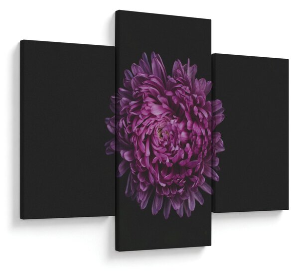 Obraz fialovej kvetiny (90x60 cm)