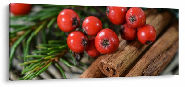 Obraz jarabiny a škorice (120x50 cm)