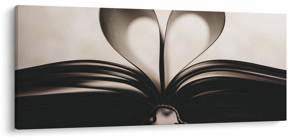 Obraz knihy (120x50 cm)