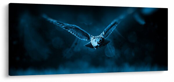 Obraz letiacej sovy (120x50 cm)