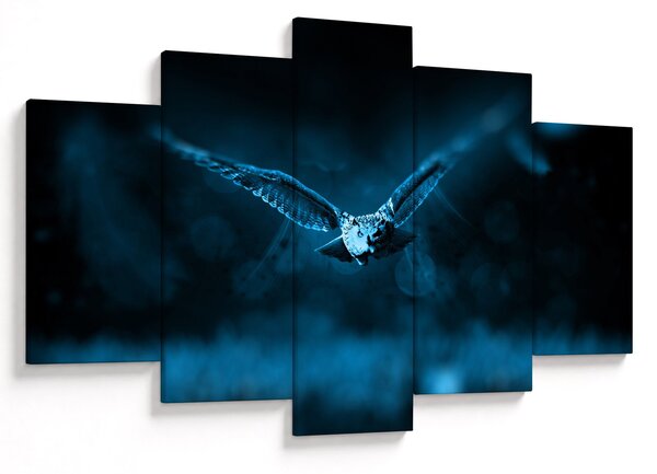 Obraz letiacej sovy (150x105 cm)