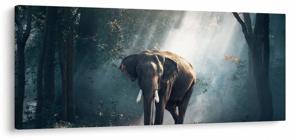 Obraz slona v džungli (120x50 cm)