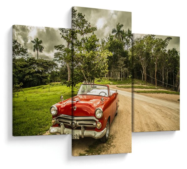 Obraz - auto veterán v prírode (90x60 cm)