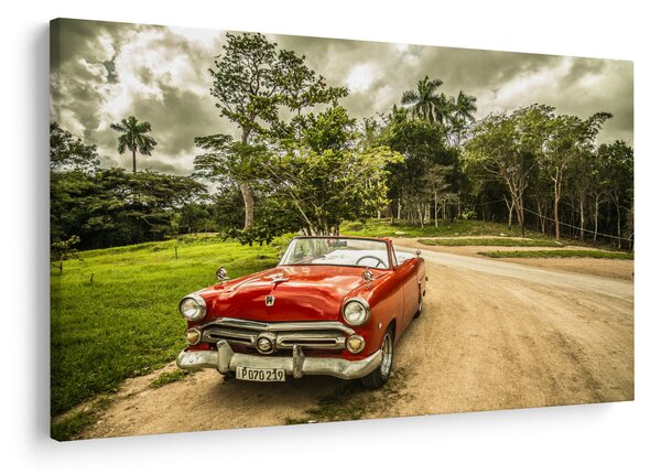 Obraz - auto veterán v prírode (90x60 cm)