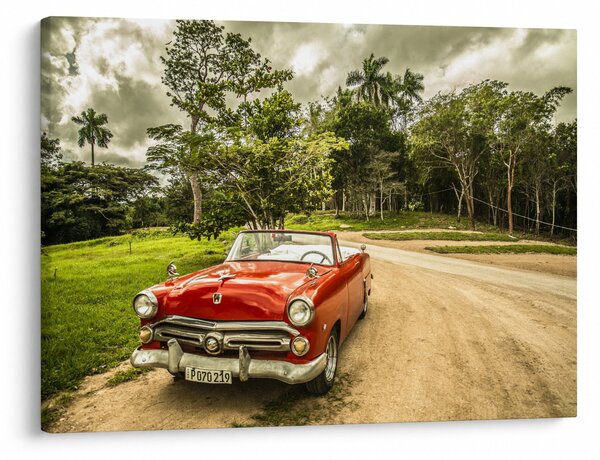 Obraz - auto veterán v prírode (70x50 cm)