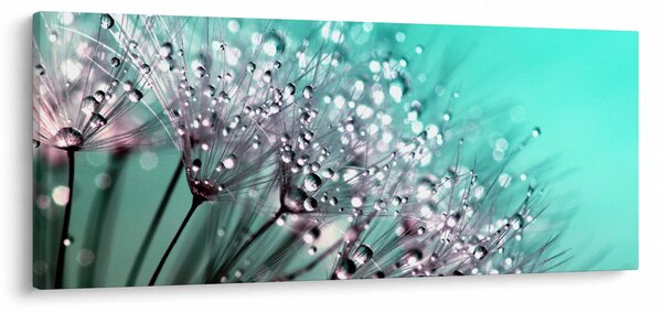 Obraz - orosená rastlina (120x50 cm)