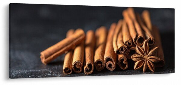 Obraz škorice (120x50 cm)