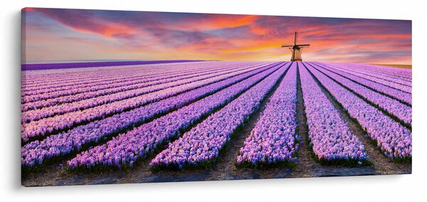 Obraz - kvetinová farma (120x50 cm)