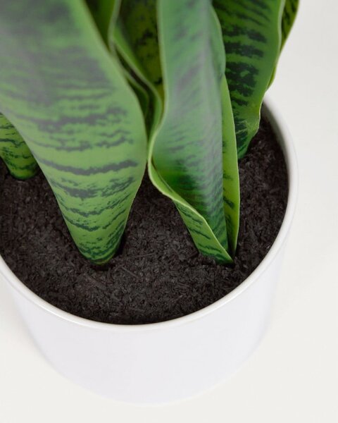 Umelá rastlina (výška 55 cm) Sansevieria – Kave Home