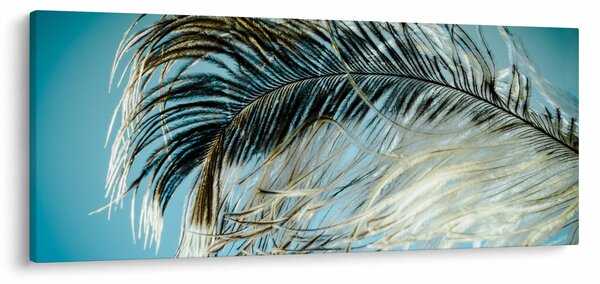 Obraz pierka (120x50 cm)