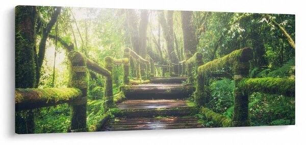 Obraz - drevené schody v lese (120x50 cm)