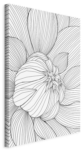 OBRAZ NA PLÁTNE, abstraktné, kvety, 40/60/1,2 cm artgeist - Online Only bytové doplnky, Online Only