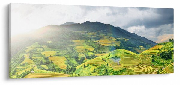 Obraz plantáže (120x50 cm)
